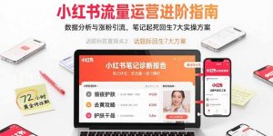 小红书流量运营进阶指南,数据分析与涨粉引流,笔记起死回生7大实操方案-网创项目
