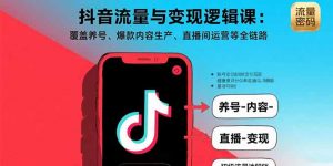 抖音流量与变现逻辑课:覆盖养号、爆款内容生产、直播间运营等全链路-网创项目