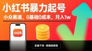 小红书暴力起号，小众赛道，0基础0成本，月入1w-网创项目