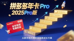 拼多多年卡2025Pro版，五大板块从认知到基础、从推广到活动、从活动到玩法-网创项目