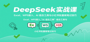 DeepSeek实战课:Excel、WPS接入、AI 组合工具与小红书批量做笔记技巧-网创项目