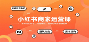 小红书商家运营课,账号定位起号、内容爆款打造与短视频拍摄剪辑-网创项目