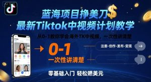 蓝海项目挣美刀，最新Tiktok中视频计划教学，从0-1教你学会海外TK中视频，一次性讲清楚-网创项目