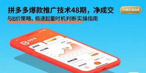 拼多多爆款推广技术48期,净成交与出价策略,极速起量时机判断实操指南-网创项目