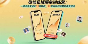 微信私域爆单训练营：一场公开课成交33单案例，99元自动训练营批量变现术-网创项目