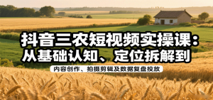 抖音三农短视频实操课：从基础认知、定位拆解到内容创作、拍摄剪辑及数据复盘投放-网创项目