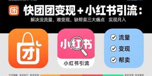 快团团变现+小红书引流：解决没流量、难变现、缺帮卖三大痛点 实现月入3w+-网创项目