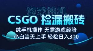 8月最新游戏搬砖,CSGO纯挂G,不需要玩游戏,实现真挂G,月入1W+【揭秘】-网创项目