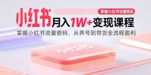 小红书月入1W+变现课程：掌握小红书流量密码，从养号到带货全流程盈利-网创项目