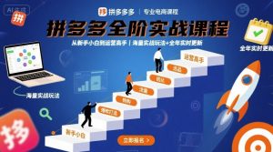 拼多多全阶实战课程，从新手小白到运营高手，海量实战玩法+全年实时更新【2025年9月更新】-网创项目