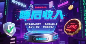 副业新选择！操作简单适合所有人，零经验也能上手，单日1k+收益，实现睡后收入【揭秘】-网创项目