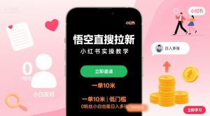 悟空直搜拉新小红书实操教学,一单10米,低门槛,0粉丝小白也能日入多张-网创项目