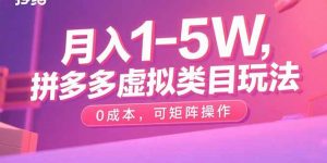 月入1-5W，拼多多虚拟类目玩法，0成本，可矩阵操作-网创项目