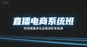 直播电商系统班,同领域差异化运营进阶系统课-网创项目