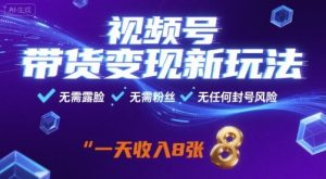 视频号带货变现新玩法,无需露脸,无需粉丝,无任何封号风险,一天收益8张【揭秘】-网创项目