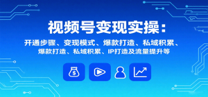 视频号变现实操，含开通步骤、变现模式、爆款打造、私域积累、IP打造及流量提升等-网创项目