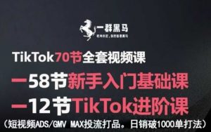 TikTok全套视频课，新手入门+进阶课，短视频ADS-GMV MAX投流打品，日销破1000单打法-网创项目
