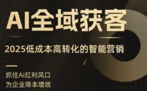 AI全域获客实训营，2025低成本高转化的智能营销，精准找客，高效营销-网创项目