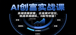 AI创富实战课：企业家IP定位，全域流量获客，低成本组团队，0起号创富！-网创项目