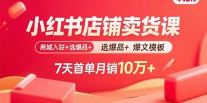 小红书店铺卖货课：商城入驻+选爆品+爆文模板，7天首单月销10万+-网创项目