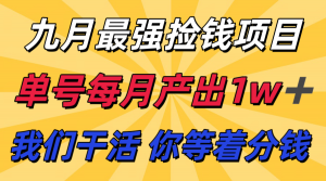 九月最强捡钱项目！ 支付宝分成代运营，我们干活，你分钱！单号月产1w+-网创项目
