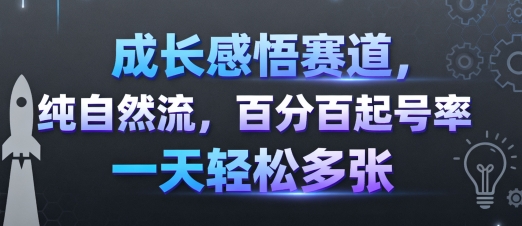 成长感悟赛道，纯自然流，百分百起号率 一天轻松多张-网创项目