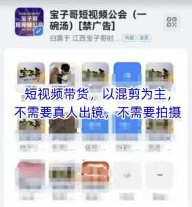 宝子哥头部团队短视频带货，以混剪为主，不需要真人出镜，不需要拍摄【更新9月】-网创项目
