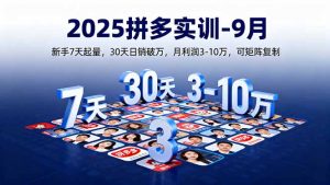 2025拼多多实训-9月:新手7天起量,30天日销破万,月利润3-10万,可矩阵复制-网创项目
