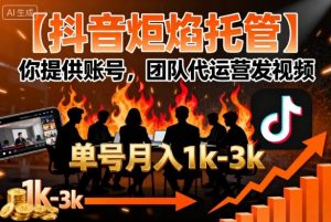【抖音炬焰托管】你提供账号，团队代运营发视频，单号月入1k+【揭秘】-网创项目
