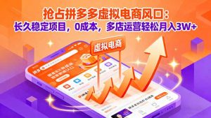 抢占拼多多虚拟电商风口:长久稳定项目,0成本,多店运营轻松月入3W+-网创项目