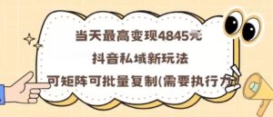 当天最高变现1k+,抖音私域新玩法,可矩阵可批量复制-网创项目