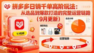 拼多多日销千单高阶玩法:从选品到爆款打造的完整运营链路(9月更新-网创项目