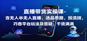 直播带货实操课：含无人半无人直播、选品思路，投流技巧，各平台玩法及答疑，干货满满-网创项目