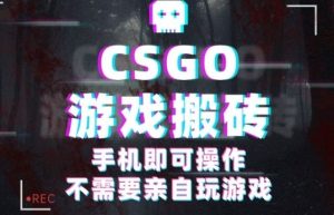 CSGO游戏挂G捡漏，单日扫货5张+，年底小高峰上车可吃肉，手机即可操作，兼职副业创业网创【揭秘】-网创项目