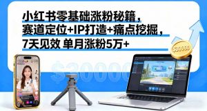 小红书零基础涨粉秘籍,赛道定位+IP打造+痛点挖掘,7天见效 单月涨粉5万+-网创项目