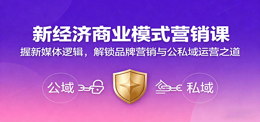 新经济商业模式营销课，握新媒体逻辑，解锁品牌营销与公私域运营之道-网创项目