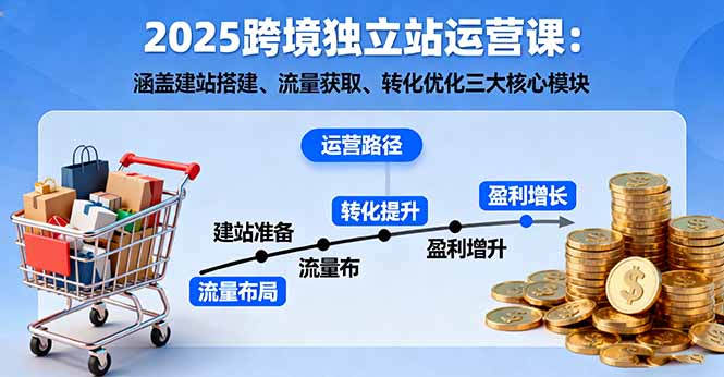 2025跨境独立站运营课：涵盖建站搭建、流量获取、转化优化三大核心模块-网创项目