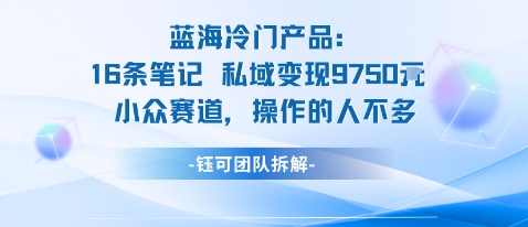 蓝海项目：16条笔记私域变现9750米小众赛道操作的人不多-网创项目