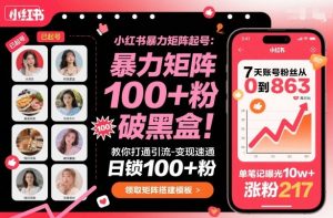小红书暴力矩阵起号，教你打通引流-变现速通，日锁100+粉，破流量黑盒-网创项目