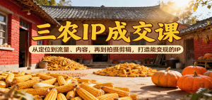 三农IP成交课：从定位到流量、内容，再到拍摄剪辑，打造能变现的IP-网创项目