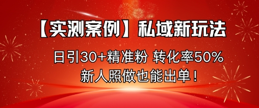 【实测案例】私域新玩法，日引30+精准粉，转化率50%，新人照做也能出单！-网创项目