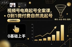 视频号电商起号全案课，0到1微付费自然流起号-网创项目