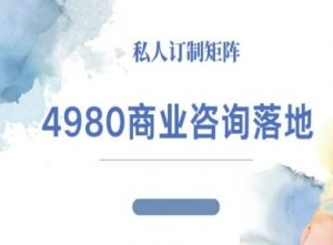 4980商业咨询师落地课程-ip运营高客单教程-网创项目