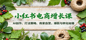 小红书电商增长课：AI创作、打法策略、商家自营，爆款与转化秘籍-网创项目