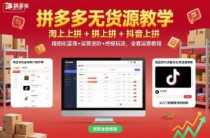 拼多多无货源教学，淘上拼+拼上拼+抖上拼，精细化蓝海+运营进阶+终极玩法，全套运营教程-网创项目