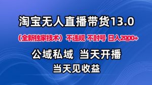 淘宝无人直播13.0，公域私域技术，不封号，不违规布局下半年旺季赛道，日入1K+(独家技术)【揭秘】-网创项目