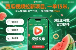 西瓜视频拉新项目，一单13米，有人悄悄用这个方法，一条视频收益2.5w+(附详细教程)-网创项目