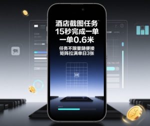 酒店截图任务，15秒完成一单，一单0.6米，任务不限量随便接，矩阵拉满单日3张【揭秘】-网创项目