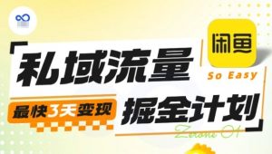 私域流量掘金计划实战训练营,最快3天变现-网创项目