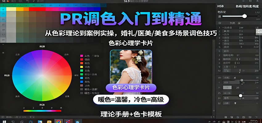 PR调色入门到精通：从色彩理论到案例实操，婚礼/医美/美食多场景调色技巧-网创项目